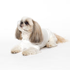 PET HALF SLEEVE T WHITE