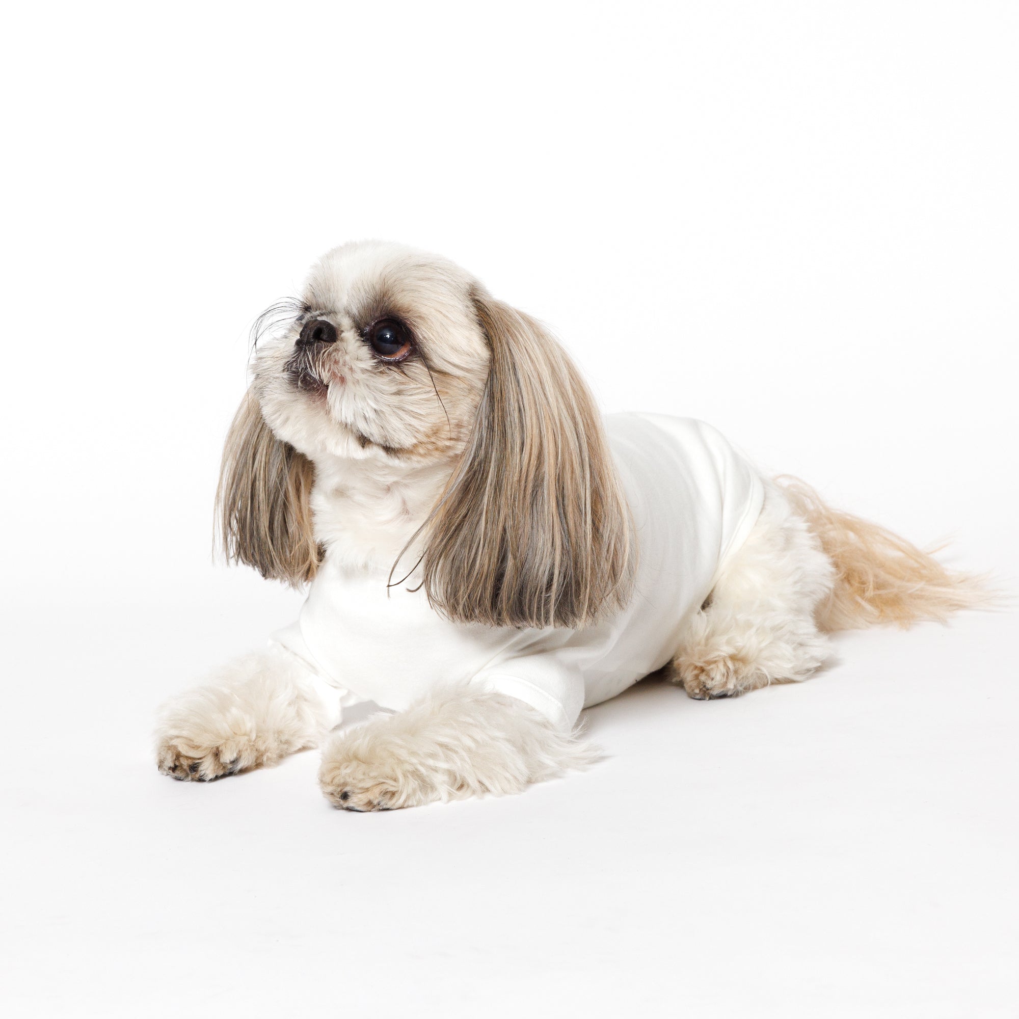 PET HALF SLEEVE T WHITE