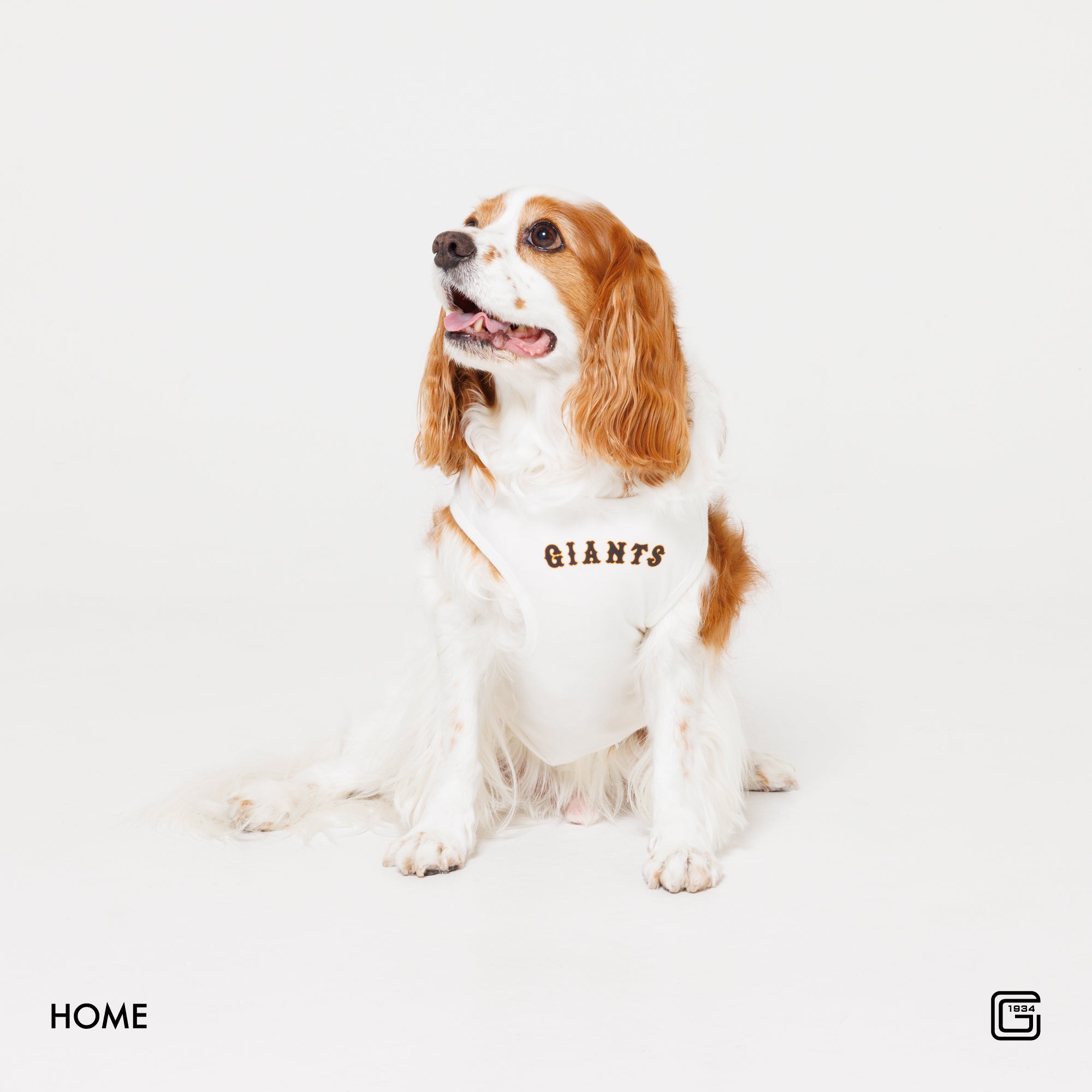 【HOME】【VISITOR】【3rd】 #8 丸 佳浩 選手