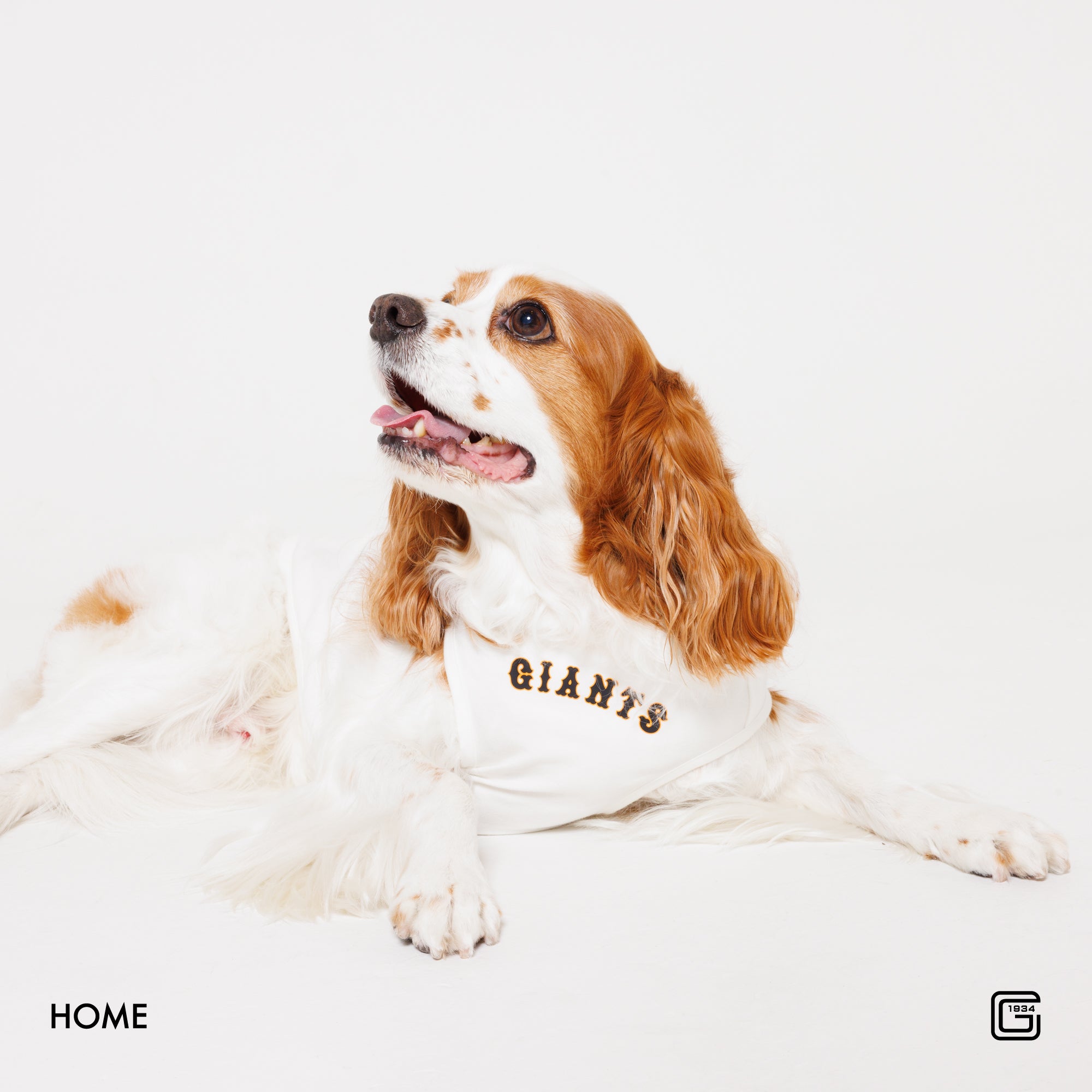 【HOME】【VISITOR】【3rd】 #8 丸 佳浩 選手