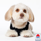 PET NO SLEEVE T BLACK