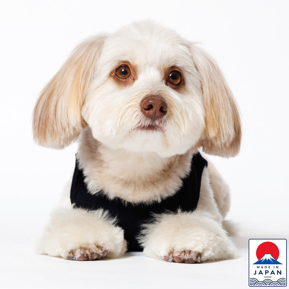 PET NO SLEEVE T BLACK