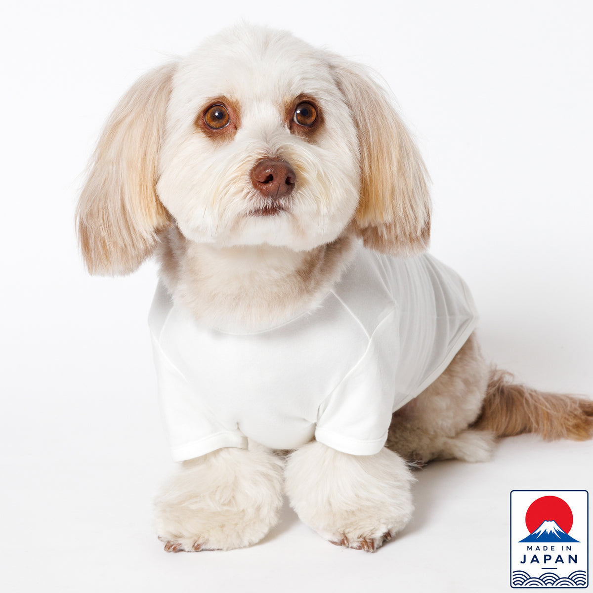 PET HALF SLEEVE T WHITE