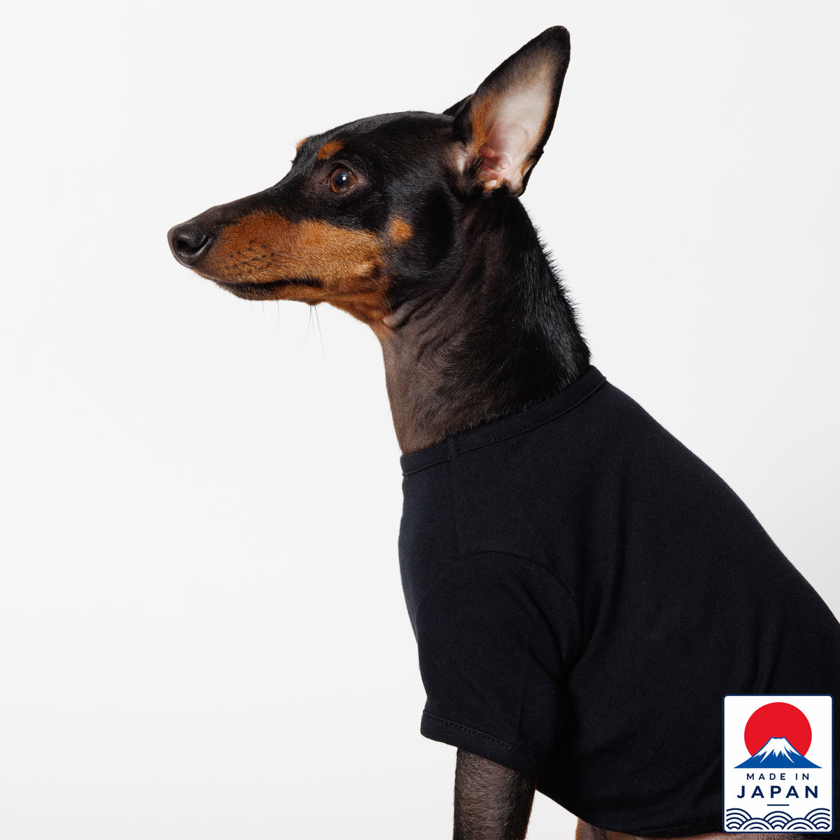PET HALF SLEEVE T BLACK