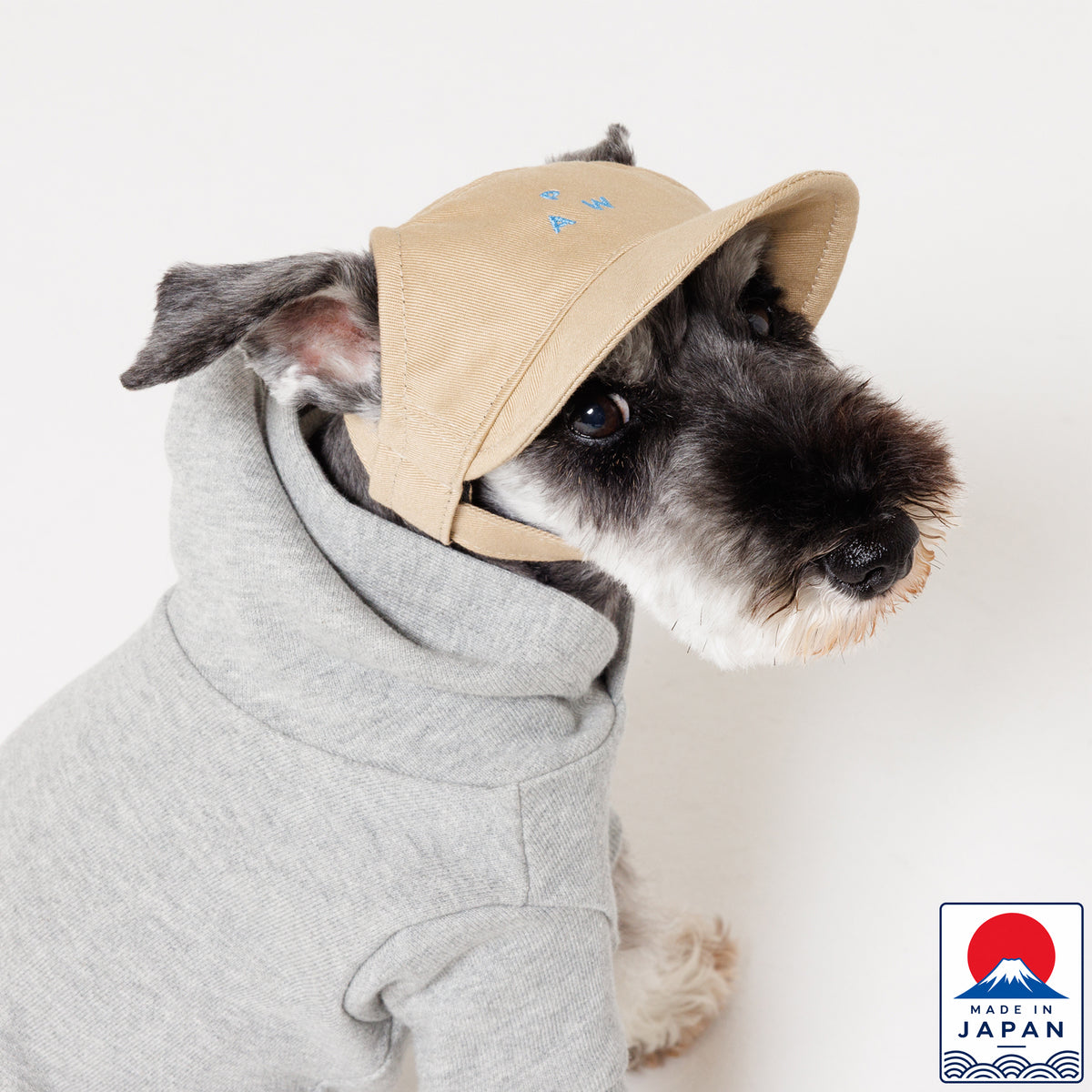 PAW TRIANGLE LOGO CAP