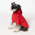 PET HALF SLEEVE FRENCH TERRY PARKA RED