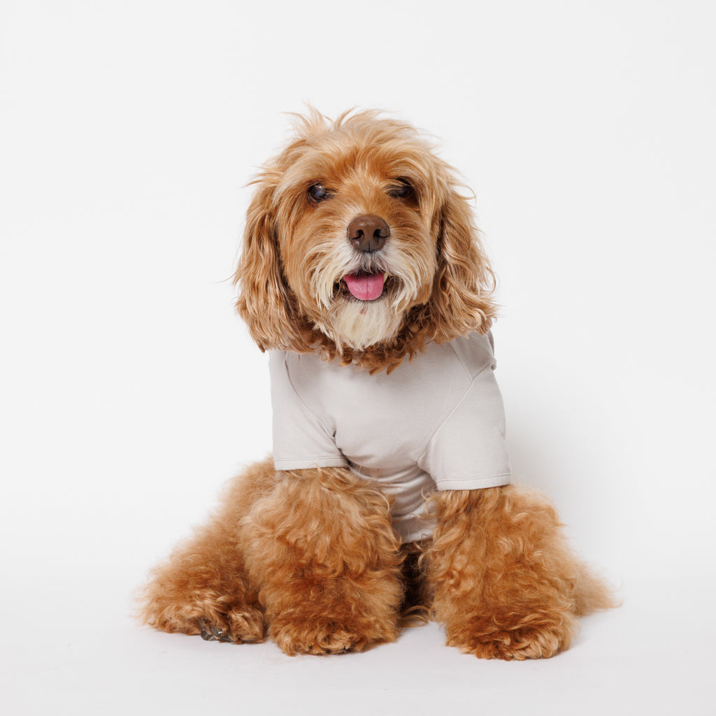 PET HALF SLEEVE T GRAY