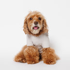 PET HALF SLEEVE T GRAY