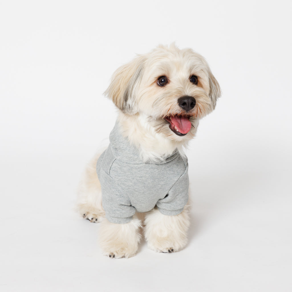 PET HALF SLEEVE FRENCH TERRY PARKA HEATHER GRAY