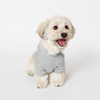 PET HALF SLEEVE FRENCH TERRY PARKA HEATHER GRAY