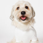PET HALF SLEEVE T WHITE