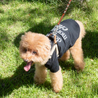 “PAW ORIGINALS第1弾” DMC PET HALF SLEEVE T