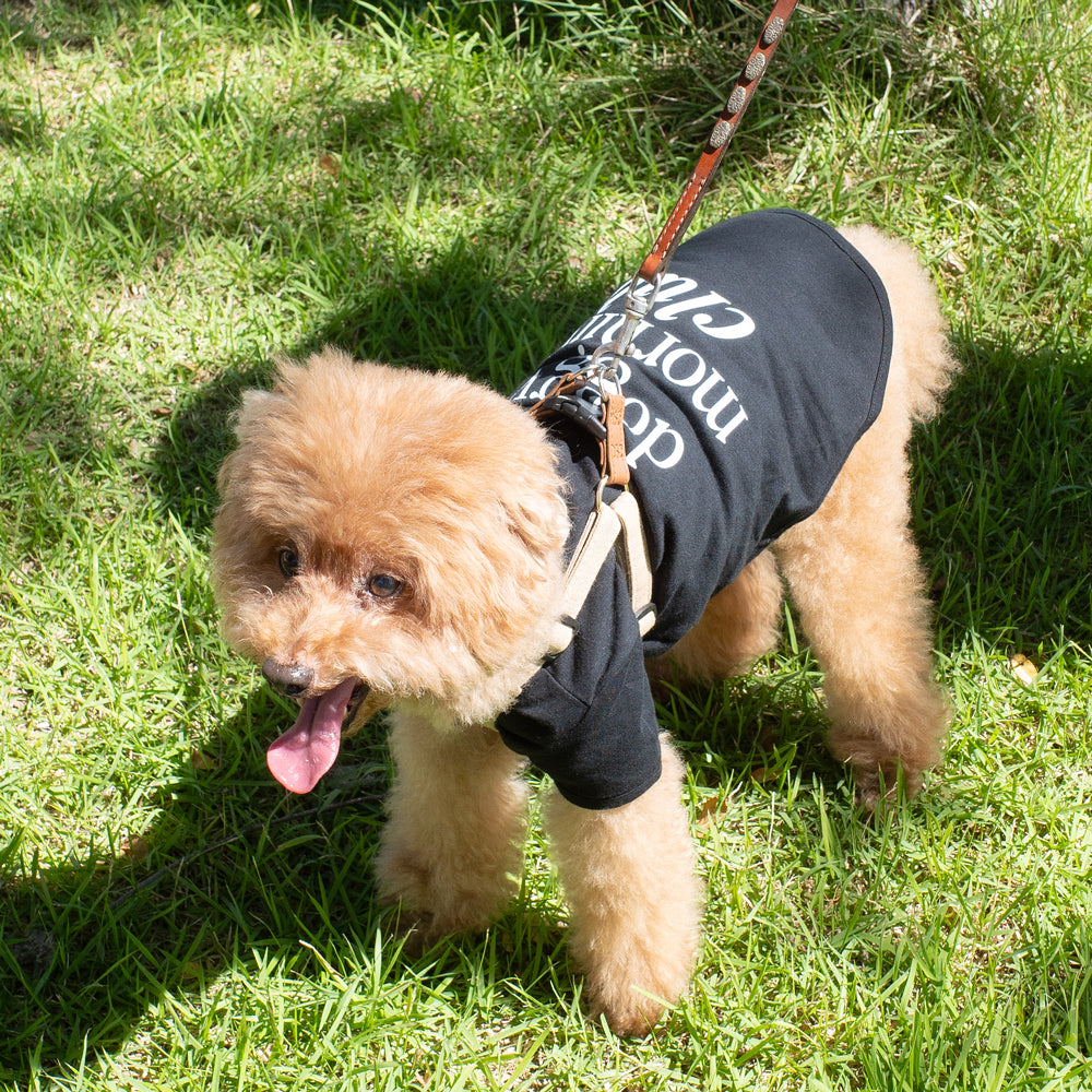 “PAW ORIGINALS第1弾” DMC PET HALF SLEEVE T