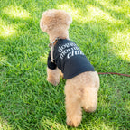 “PAW ORIGINALS第1弾” DMC PET HALF SLEEVE T