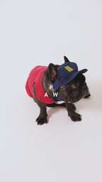 PET APPAREL WEAR LOGO A CAP